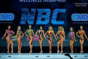 WELLNESS НОВИЧКИ